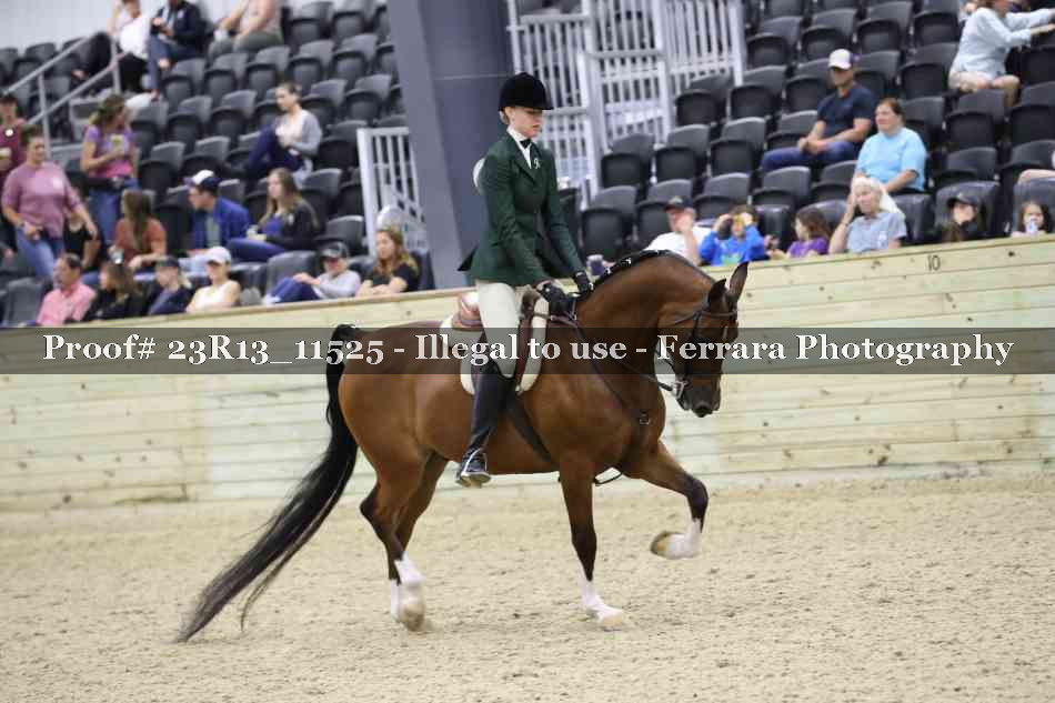 Proof 23R13_11525