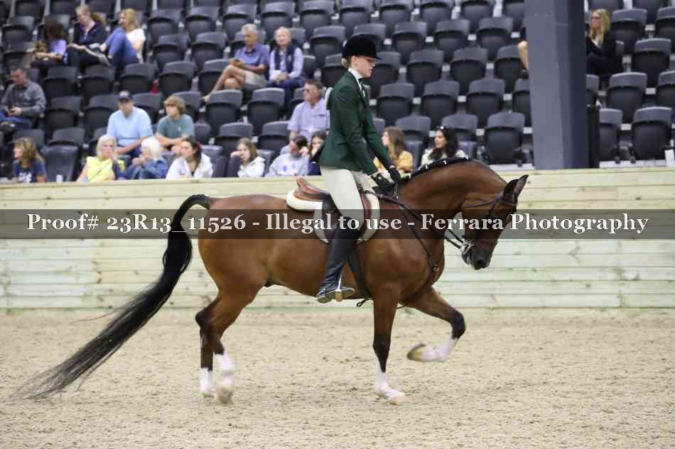 Proof 23R13_11526