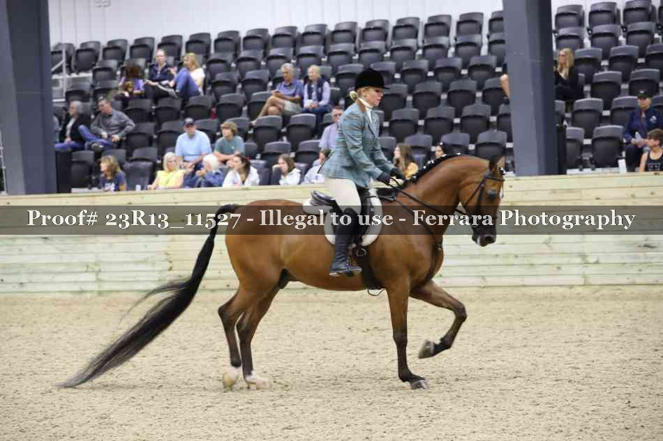 Proof 23R13_11527