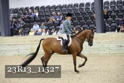 23R13_11527 proof
