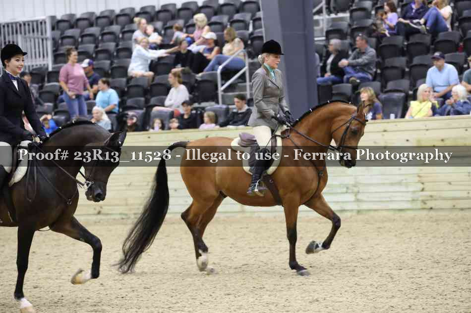 Proof 23R13_11528
