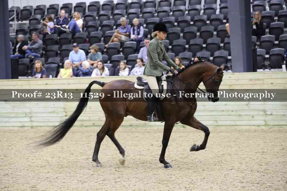 Proof 23R13_11529