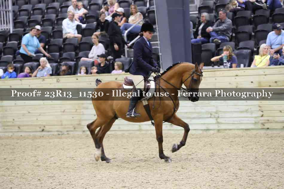 Proof 23R13_11530