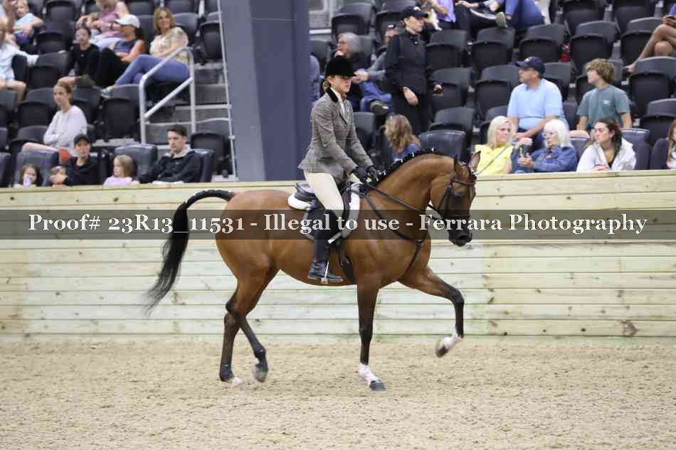 Proof 23R13_11531