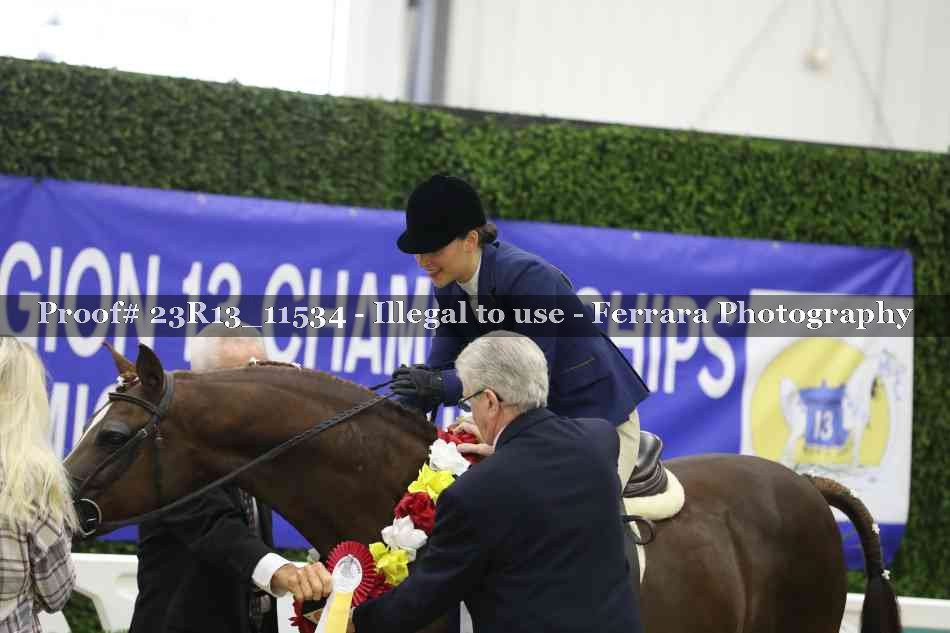 Proof 23R13_11534