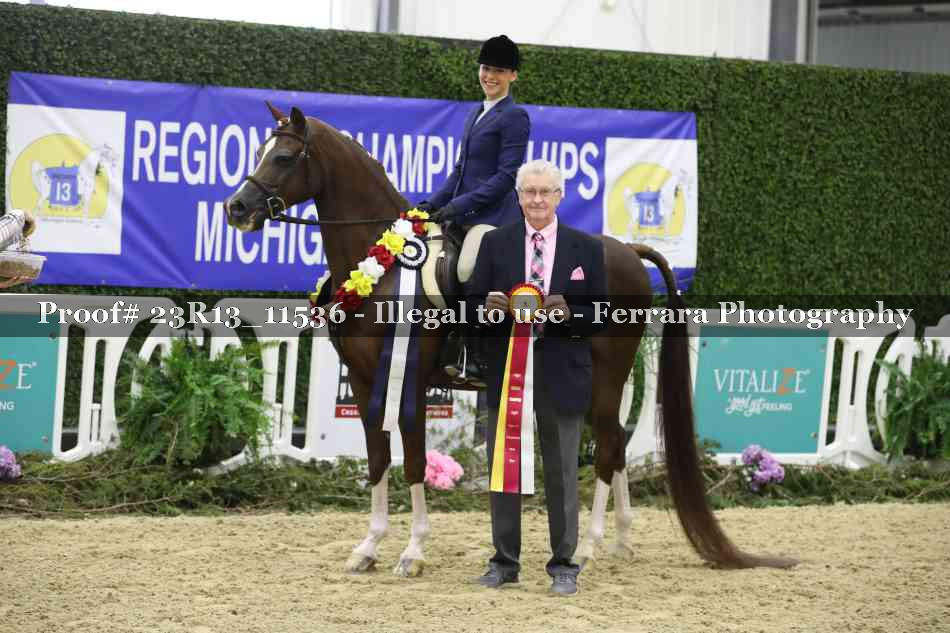 Proof 23R13_11536