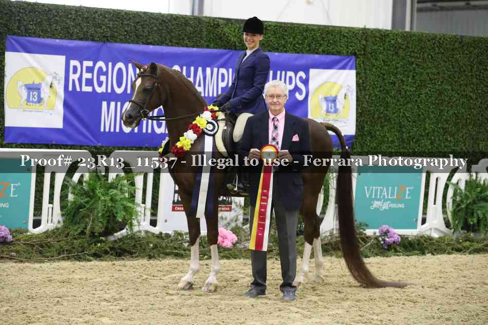 Proof 23R13_11537