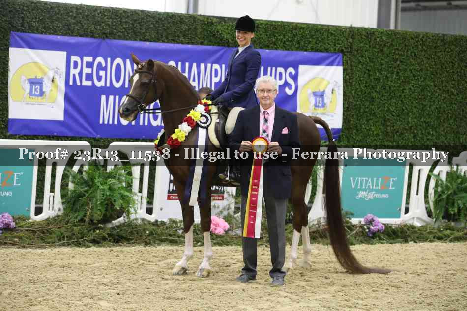 Proof 23R13_11538