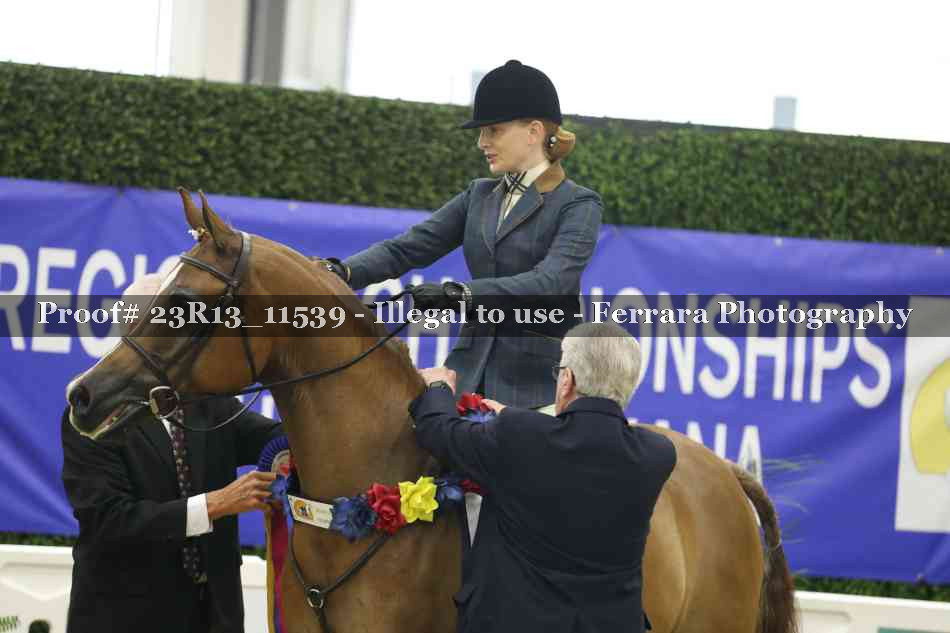 Proof 23R13_11539