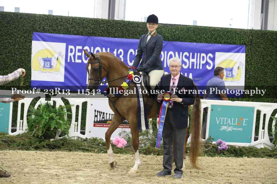 Proof 23R13_11542