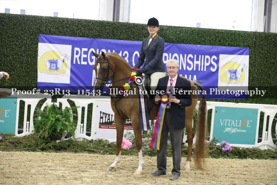 Proof 23R13_11543