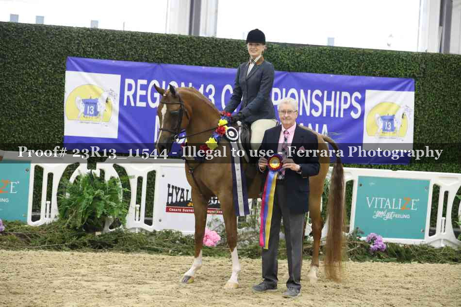 Proof 23R13_11544