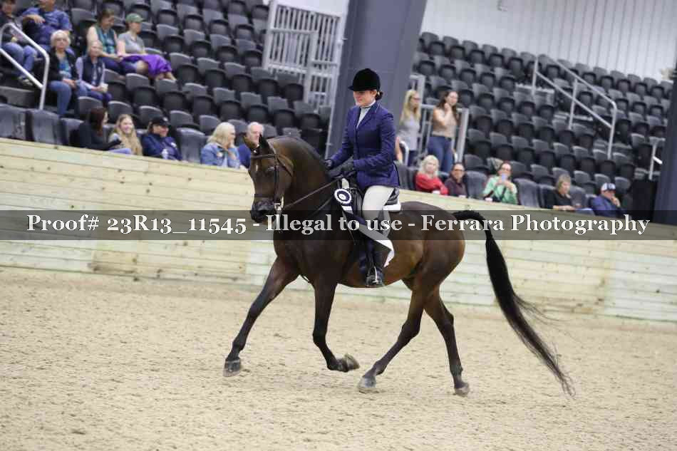Proof 23R13_11545