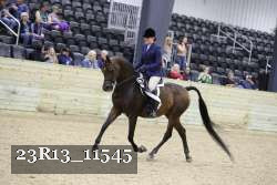 23R13_11545 proof