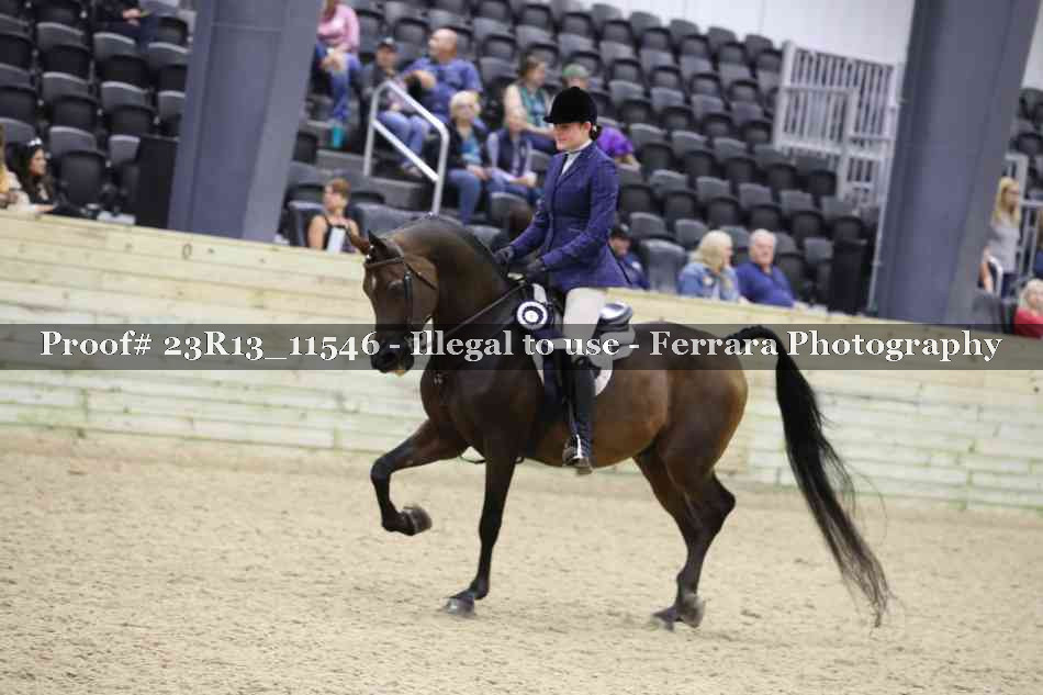 Proof 23R13_11546