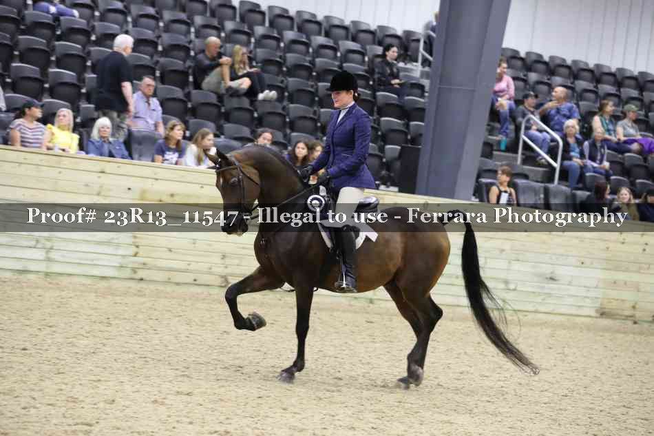 Proof 23R13_11547