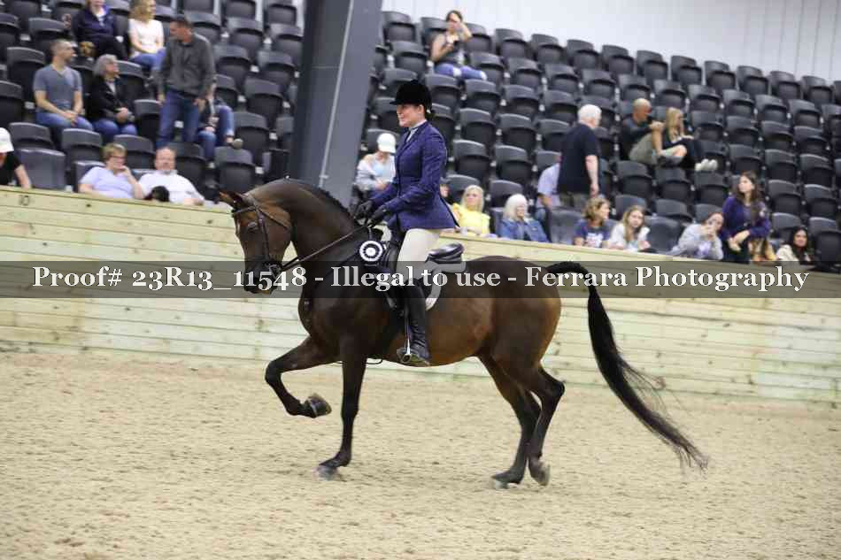 Proof 23R13_11548