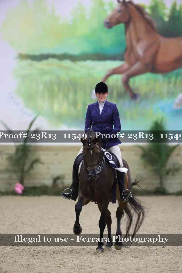 Proof 23R13_11549