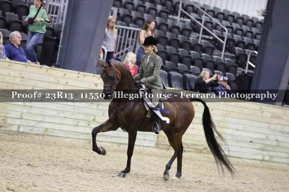 Proof 23R13_11550