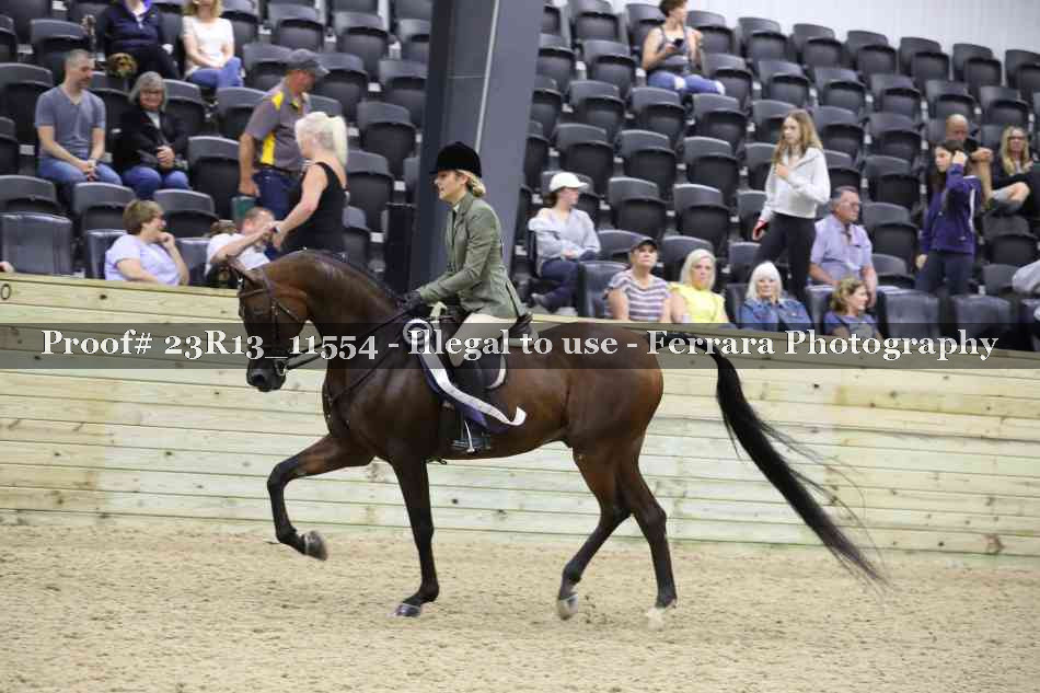 Proof 23R13_11554