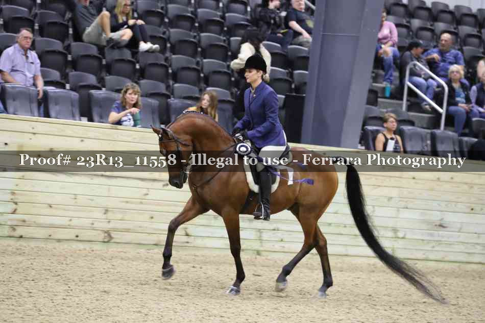 Proof 23R13_11558