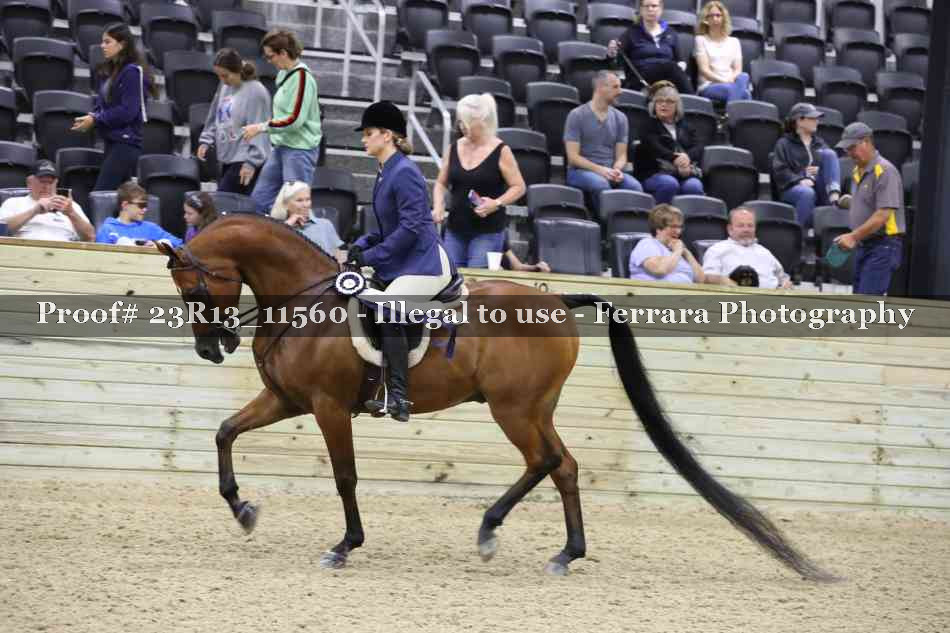 Proof 23R13_11560