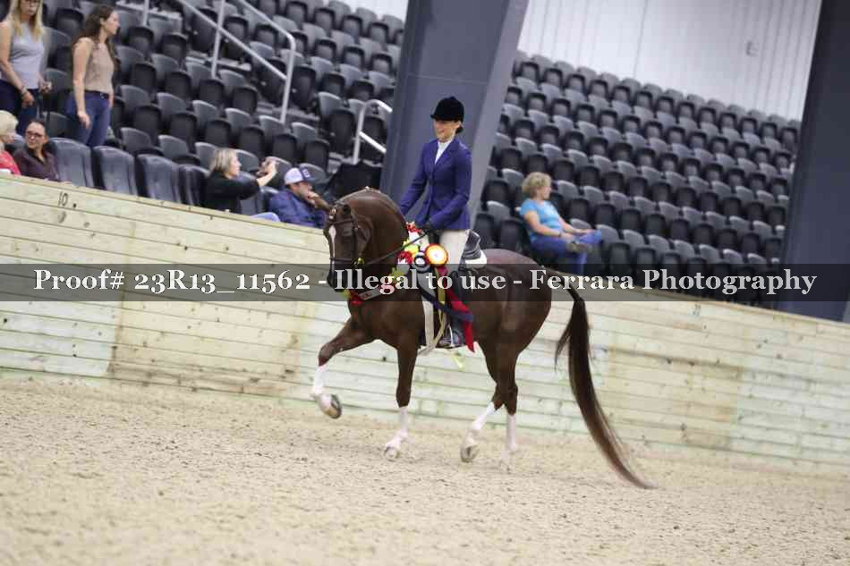 Proof 23R13_11562