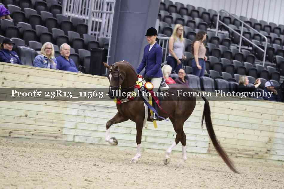 Proof 23R13_11563
