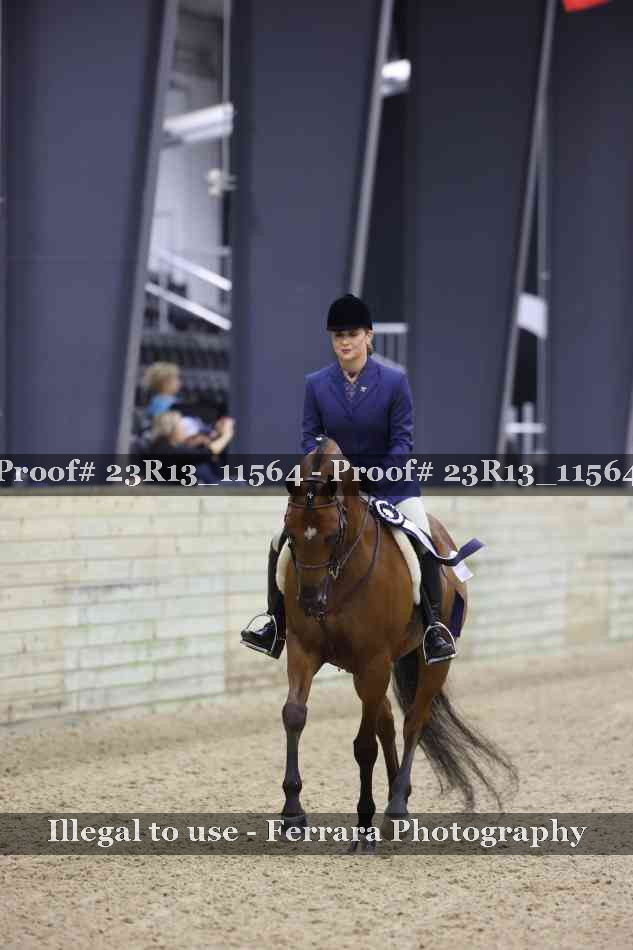 Proof 23R13_11564