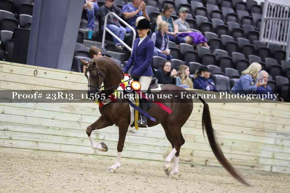 Proof 23R13_11565