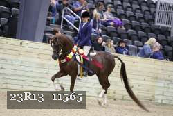23R13_11565 proof