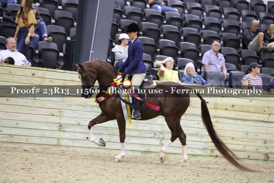 Proof 23R13_11566