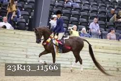 23R13_11566 proof
