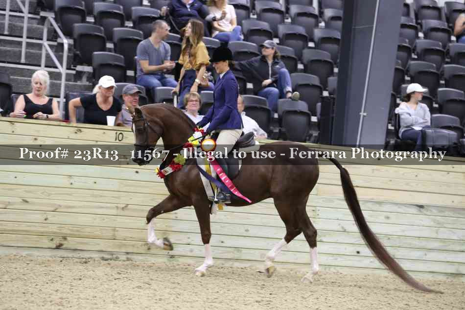 Proof 23R13_11567