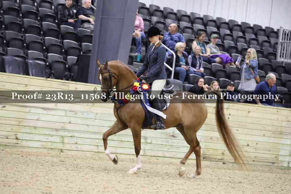 Proof 23R13_11568