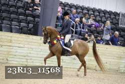 23R13_11568 proof