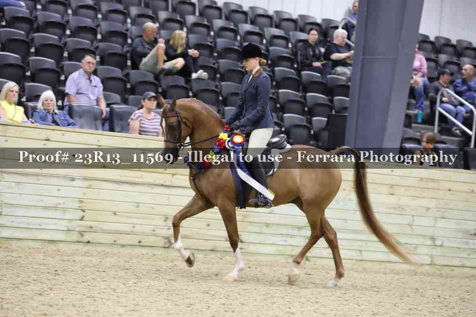 Proof 23R13_11569