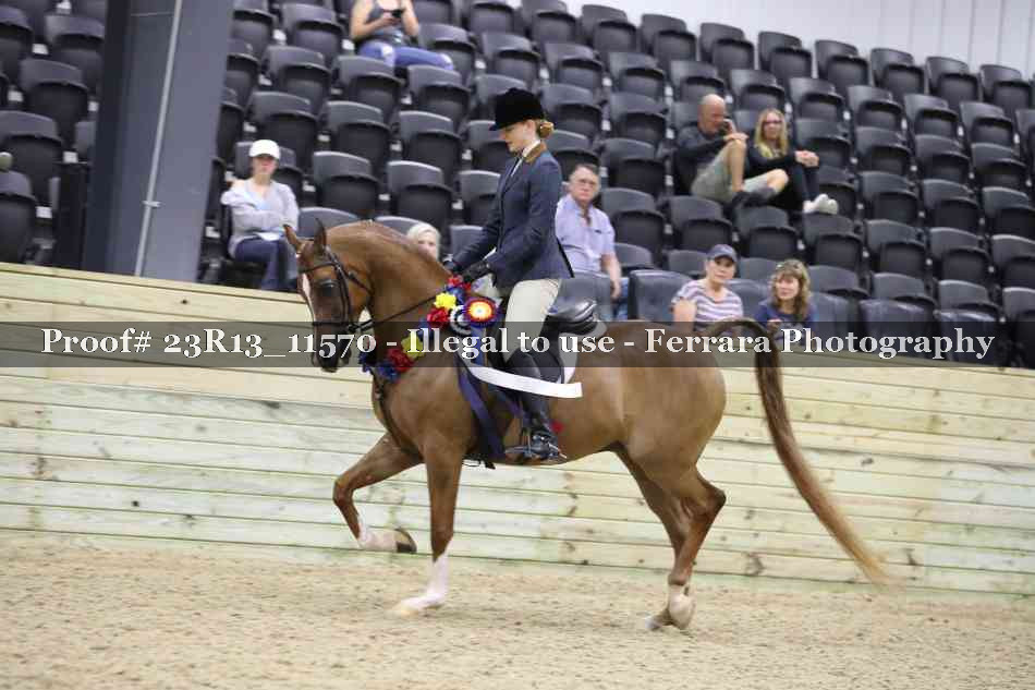 Proof 23R13_11570
