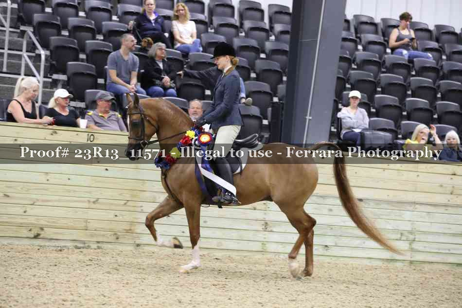 Proof 23R13_11571