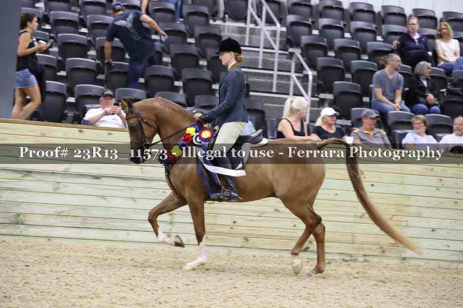 Proof 23R13_11573