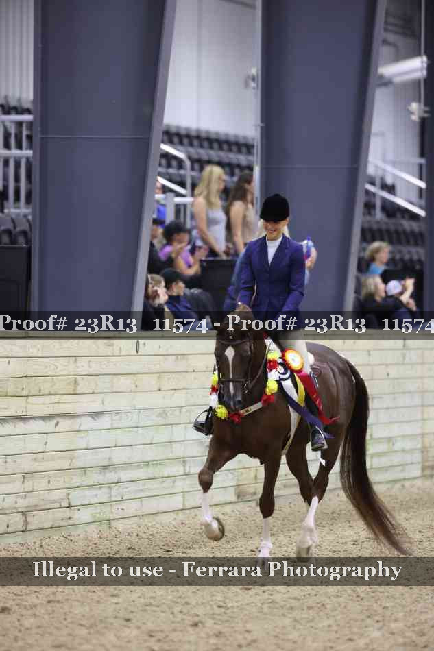Proof 23R13_11574