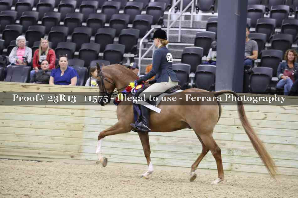 Proof 23R13_11575