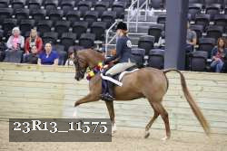 23R13_11575 proof