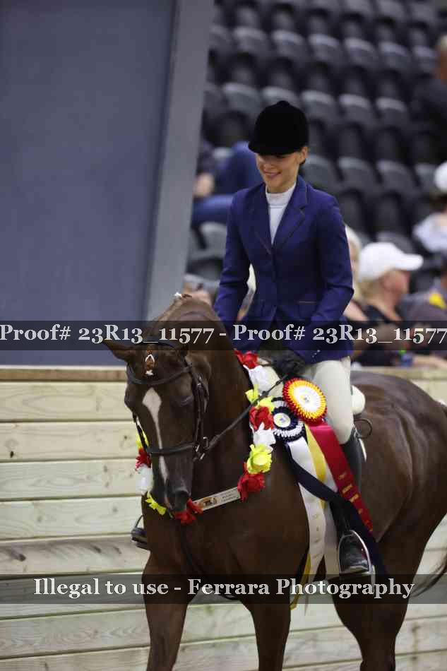 Proof 23R13_11577
