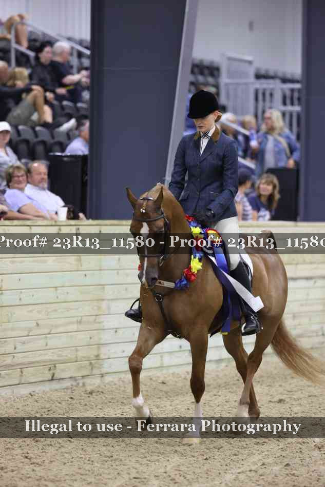 Proof 23R13_11580