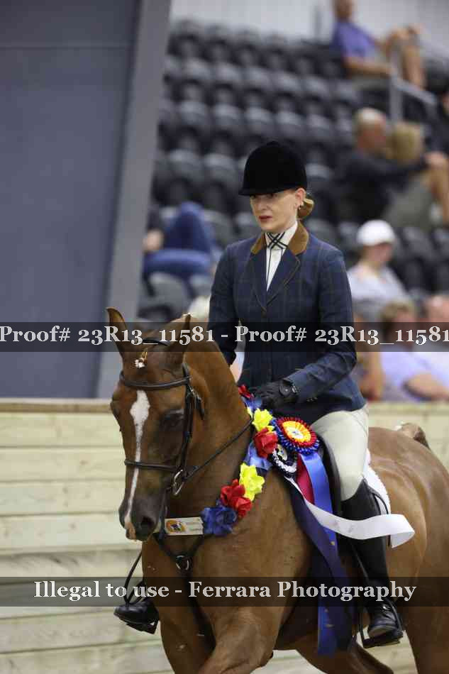 Proof 23R13_11581