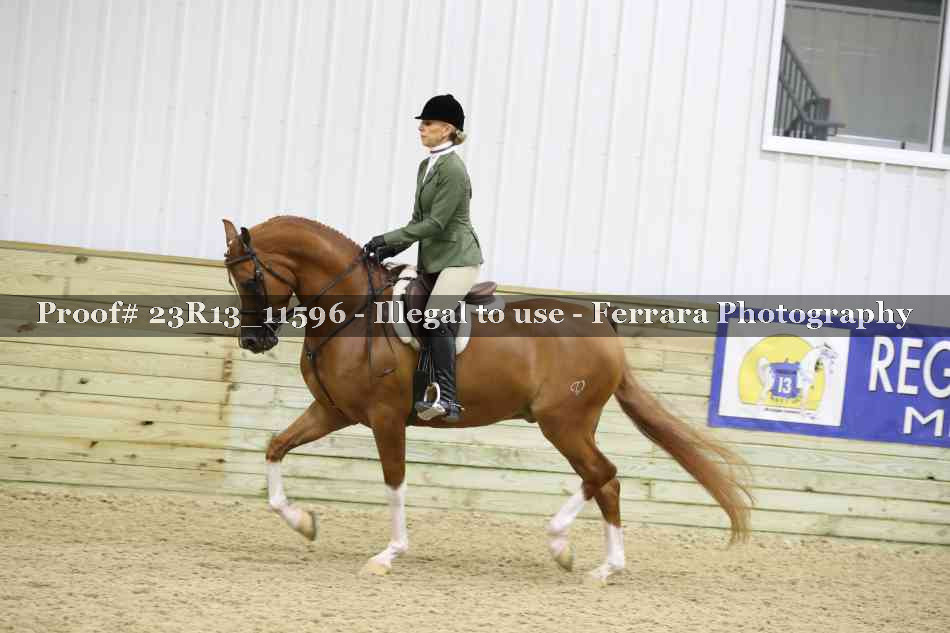 Proof 23R13_11596