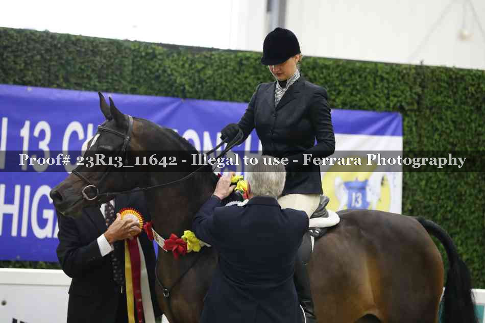 Proof 23R13_11642
