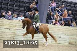 23R13_11665 proof