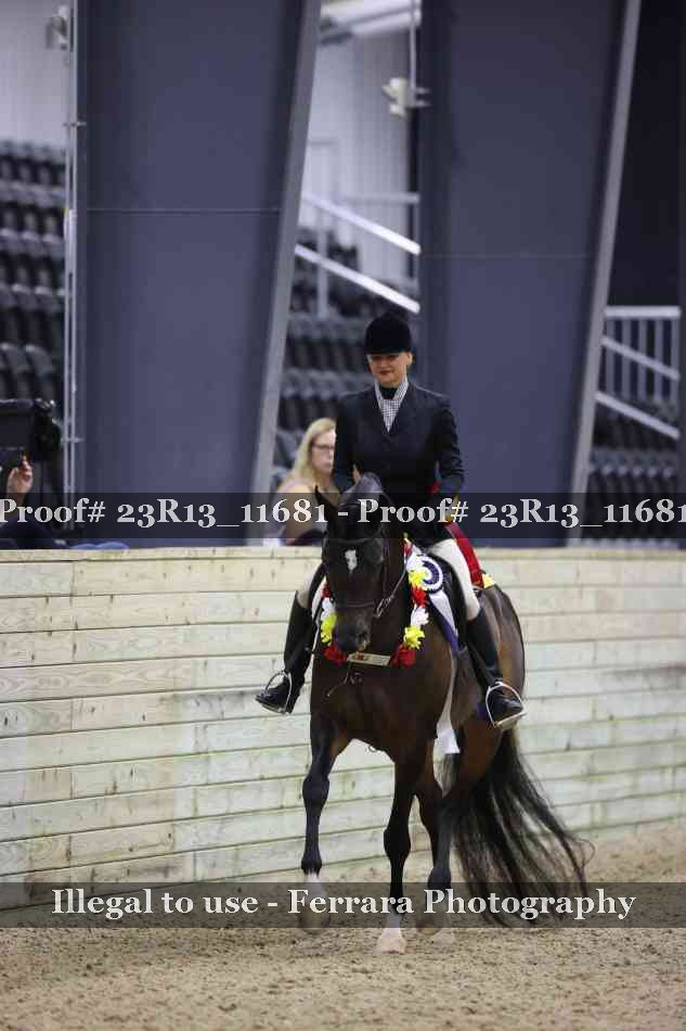 Proof 23R13_11681